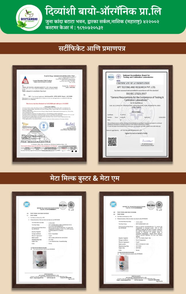 certification image in cattle